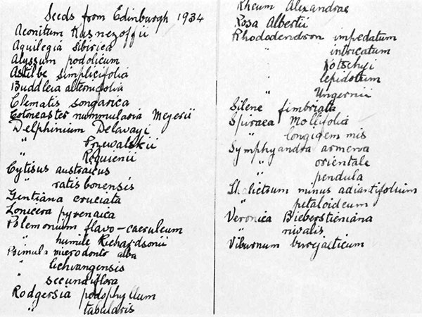 Page from Dr. Skinner's notebook