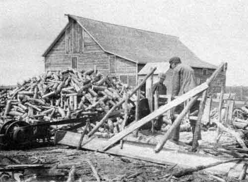 Frank Grain's farm near Purves. Cutting wood with "Buzz saw" Roy and Frank, 1 June 1918.