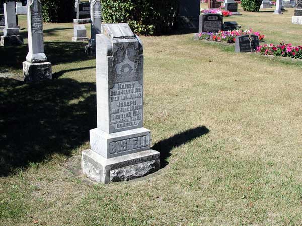 The grave marker for Harry Bosnell and his brother Joseph in the Neepawa Cemetery.