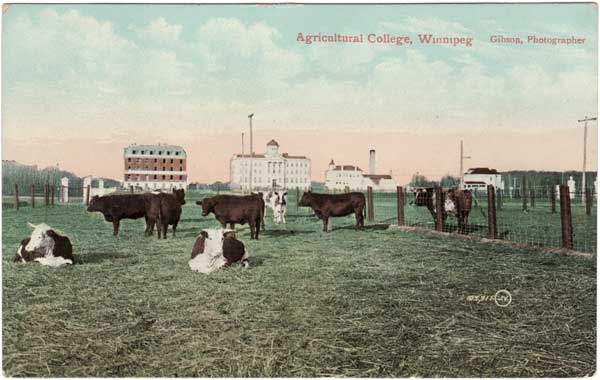Manitoba Agricultural College