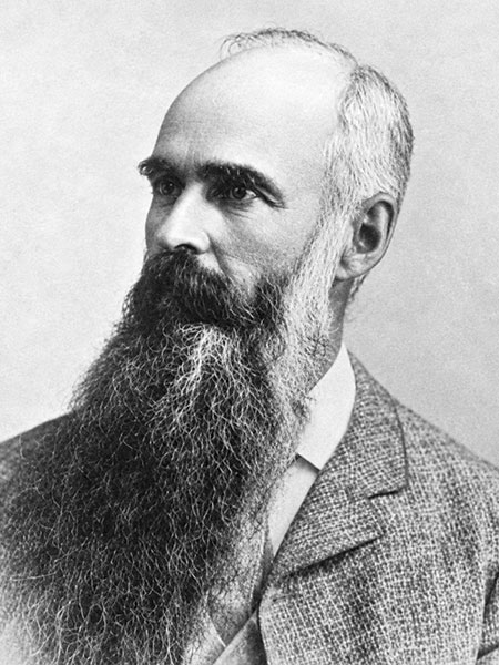 Click to enlarge