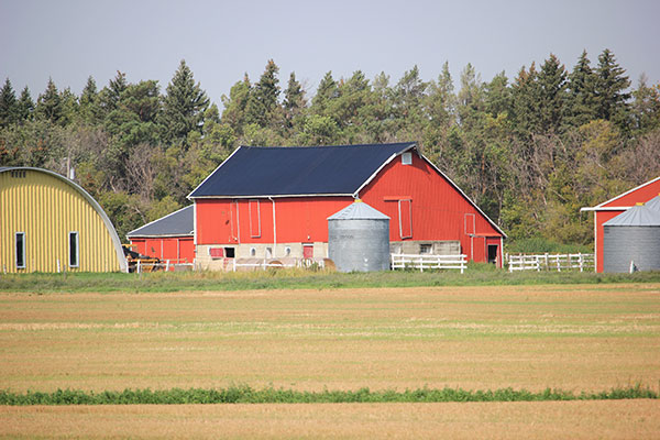 Alexander Barn