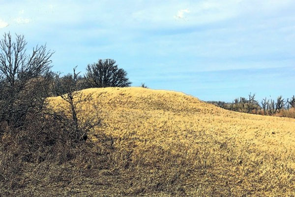 Calf Mountain from the south, taken from the lowland south of the mound