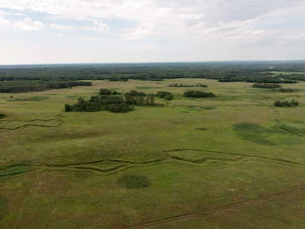 Aerial view of trenches remaining from the Camp Hughes training facility