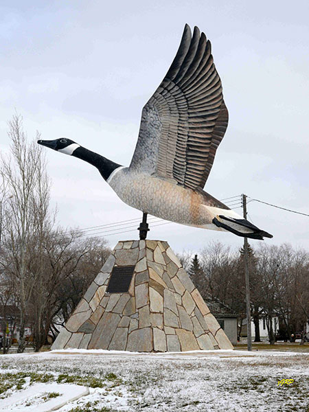 Canada Goose Monument