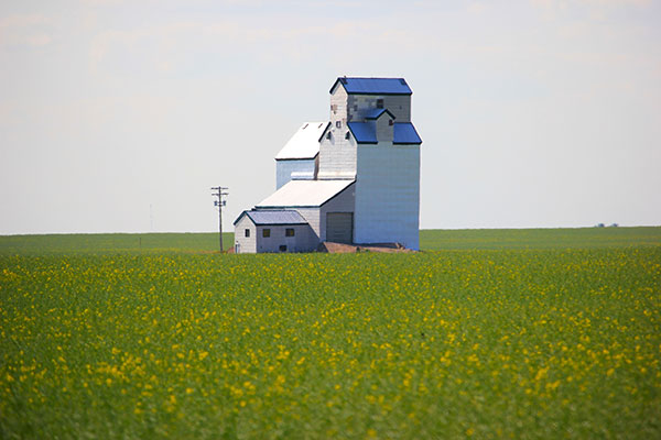 The former Manitoba Pool grain elevator at Dalny