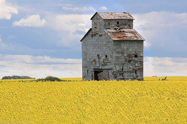 The former Deason Family Grain Elevator