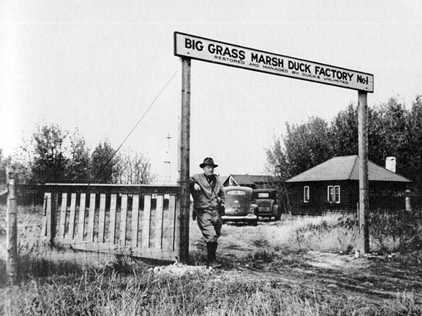 DU Chief Biologist Bertram Cartwright stands at the entrance to “Duck Factory No. 1” at Big Grass Marsh