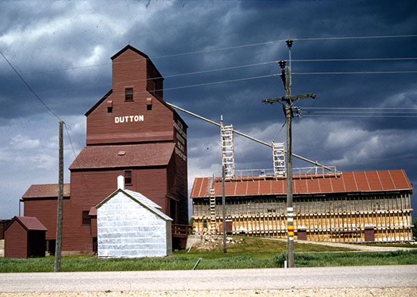 The former Manitoba Pool grain elevator at Dutton Siding with its annex under construction