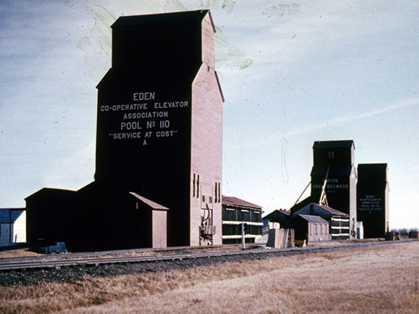 Manitoba Pool grain elevator A at Eden, with the United Grain Growers and Pool B elevators in the background