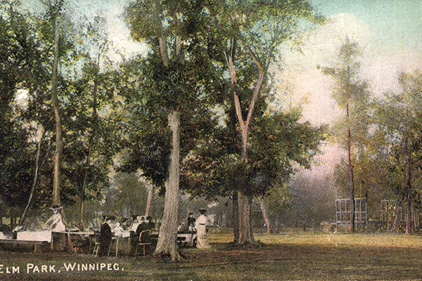 Postcard view of Elm Park