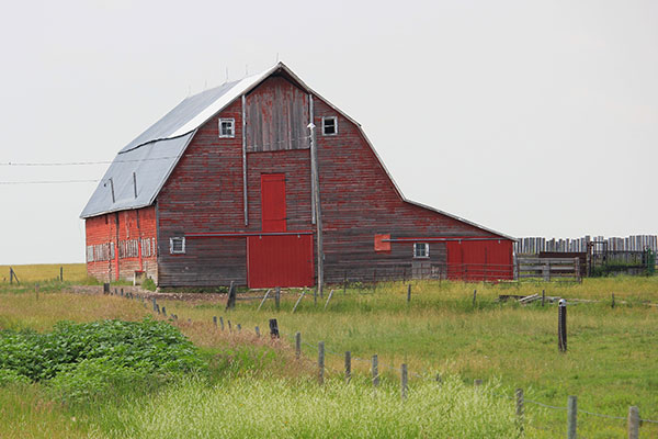 Forder Barn