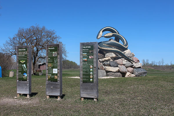 Giant Snake monument at Inwood