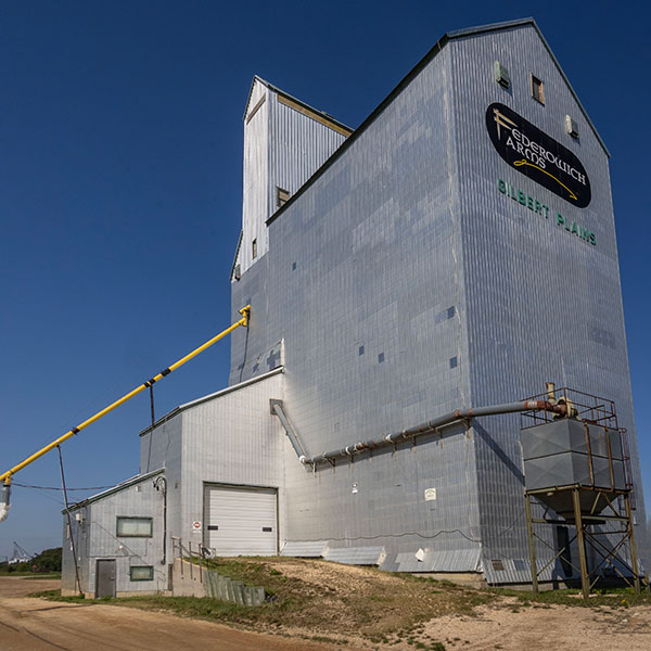 Former Manitoba Pool Grain Elevator D at Gilbert Plains
