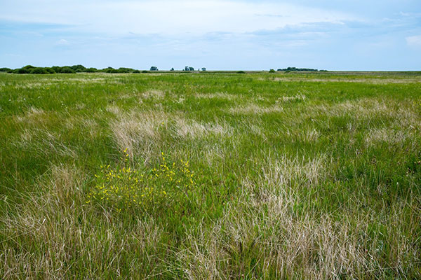 Former site of Isaford School