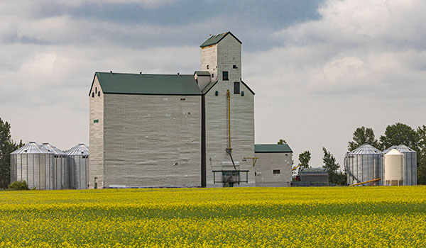 The former Manitoba Pool grain elevator at Katrime