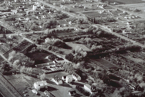 Aerial view of the Morden Experimental Farm