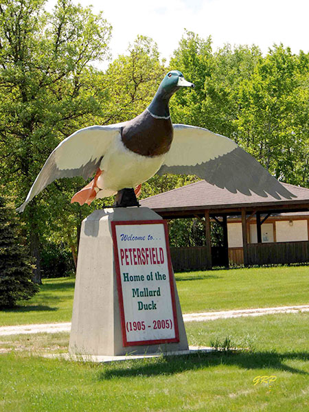 Mallard Duck Monument