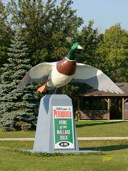 Mallard Duck Monument