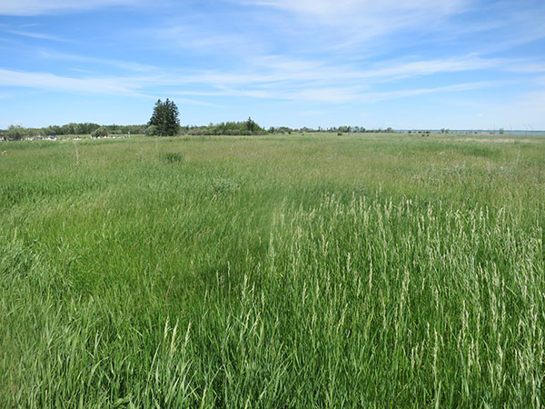 Former site of the Pine Creek Residential School