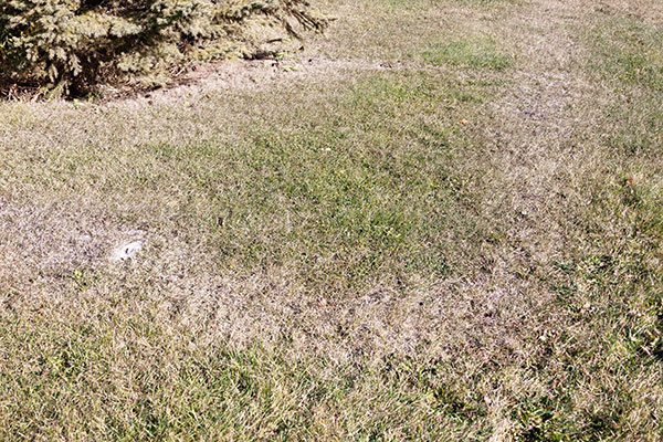 Outline of school's concrete foundation in the grass