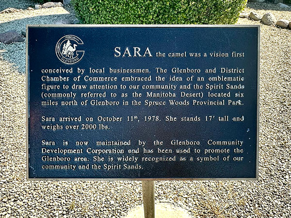 Sara the Camel plaque