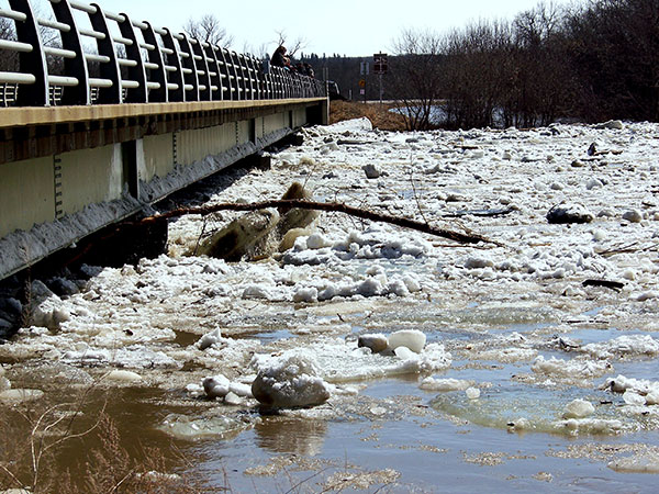 Ernest Thompson Seton Bridge at ice break-up