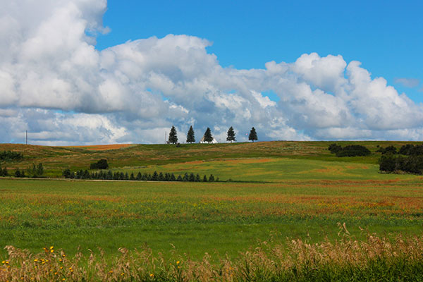 A view of the Star Mound School sitting atop Star Mound