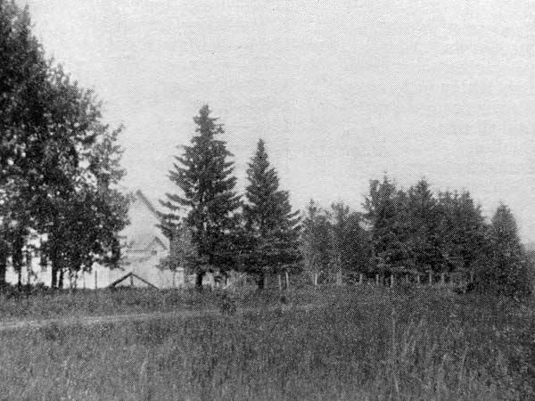 Tales School grounds surrounded by spruce and pine trees
