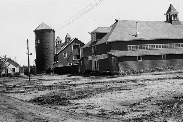 A hog barn at the extreme right, milk house, beef barn, and silo at the Searle Farm