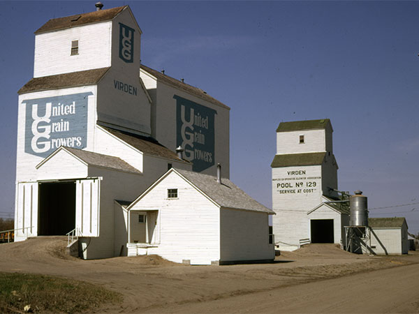 Manitoba Pool grain elevator at Virden with the United Grain Growers grain elevator in the foreground