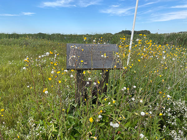 Young Conservation Monument