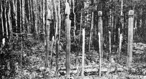 Indian grave at Deer&rsquo;s Lake side of Long Portage, June 1910.