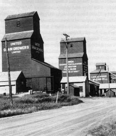 United&nbsp;Grain Growers&rsquo; Elevator and others at Ninga, 1955. The Manitoba Elevator Commission purchased four elevators at Ninga, dismantled two and sold two to&nbsp;UGG.