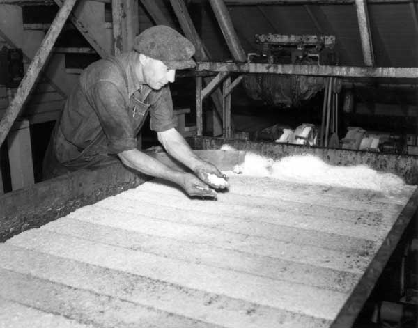 Checking salt at Neepawa&rsquo;s Canadian Salt Company, 1952.