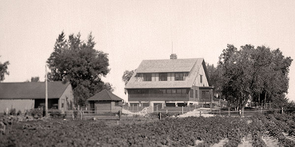 Bain&rsquo;s marsh mansion. In 1932, after purchasing land at Delta Marsh including a long stretch of shoreline on Lake Manitoba, Dan Bain built sumptuous Mallard Lodge (right) as his country getaway. Here he brought favoured friends and relatives but vigorously excluded all others. From 1965 to 2010, it was the base of operations for the University of Manitoba&rsquo;s Delta Marsh Field Station.