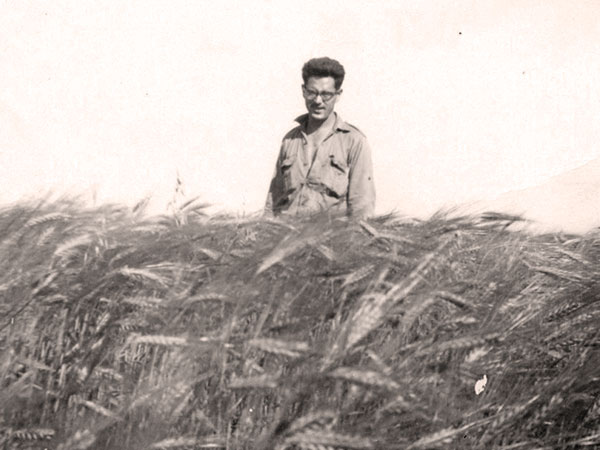 Hercule Granger (1925&ndash;1978) standing in his wheat crop