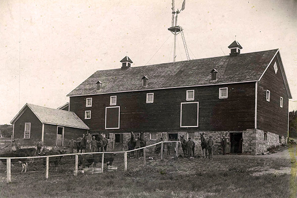 Boys tending horses and cattle around the Brandon Residential School&rsquo;s barn, circa 1902.