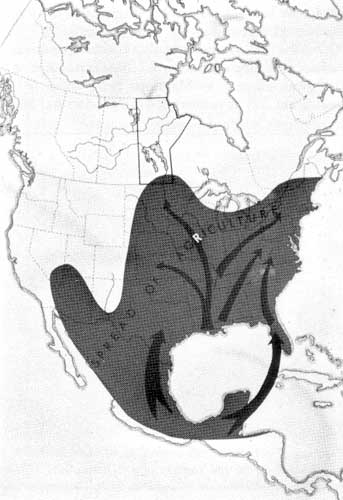 The spread of corn from Mexico through North America.
