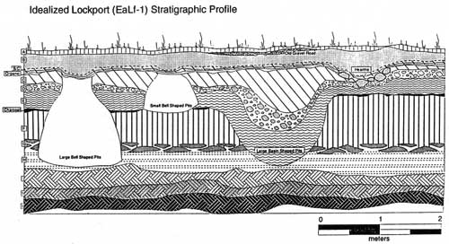 Idealized stratigraphic cross-section of the many Native occupation levels at the Lockport site, showing both the deep and the shallow storage pits and a large basin shaped depression from an earlier occupation.