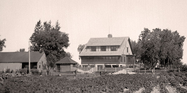 Bain’s marsh mansion. In 1932, after purchasing land at Delta Marsh including a long stretch of shoreline on Lake Manitoba, Dan Bain built sumptuous Mallard Lodge (right) as his country getaway. Here he brought favoured friends and relatives but vigorously excluded all others. From 1965 to 2010, it was the base of operations for the University of Manitoba’s Delta Marsh Field Station.