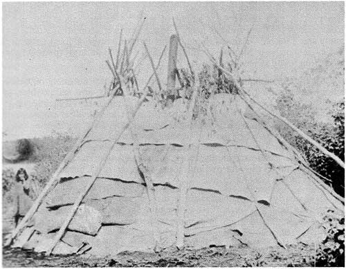 Saulteaux birchbark wigwams were either cone-shaped or dome-shaped.