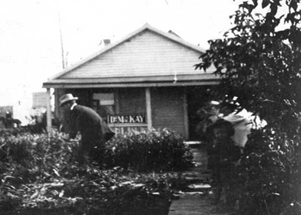 The Mackay home and garden