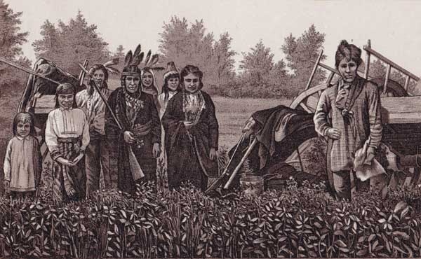 Chippewa Indians of the Northwest