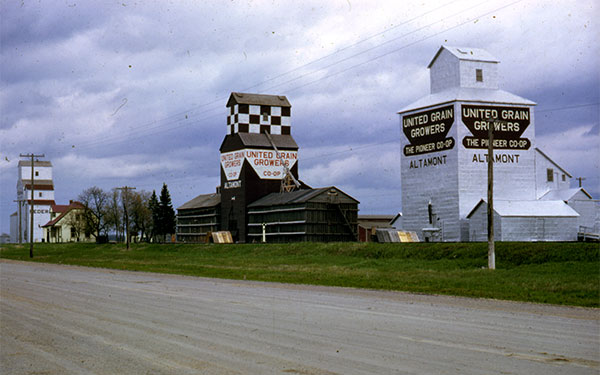 The former Ogilvie Milling grain elevator (right) with United Grain Growers 1 (centre) and Manitoba Pool (left) at Altamont