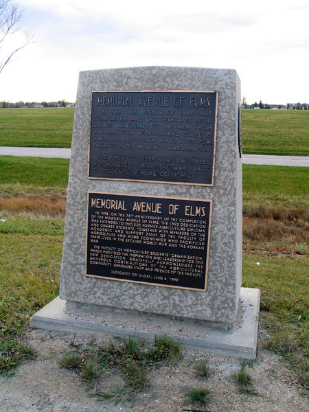 Avenue of Elms Memorial