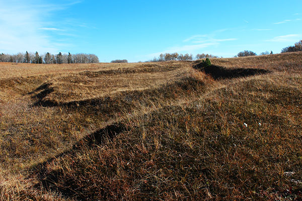 Trenches remaining from the Camp Hughes training facility