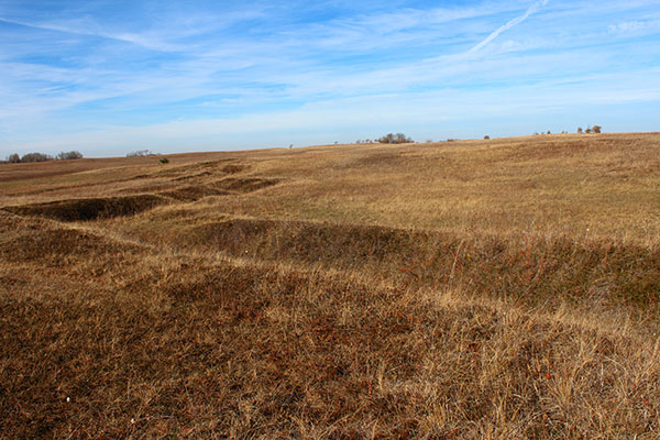 Trenches remaining from the Camp Hughes training facility
