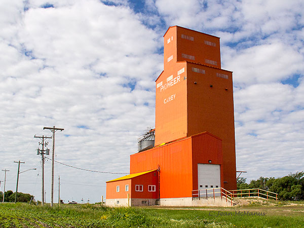 Pioneer grain elevator at Carey, shortly before its demolition