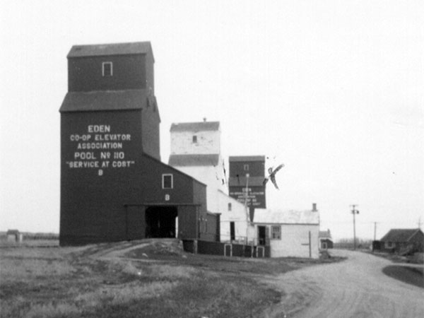 Manitoba Pool grain elevator B at Eden, with the United Grain Growers and Pool A elevators in the background